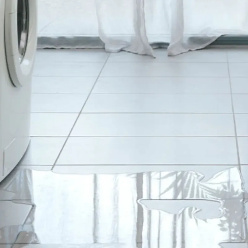 Appliance Leak Cleanup in Saks, AL