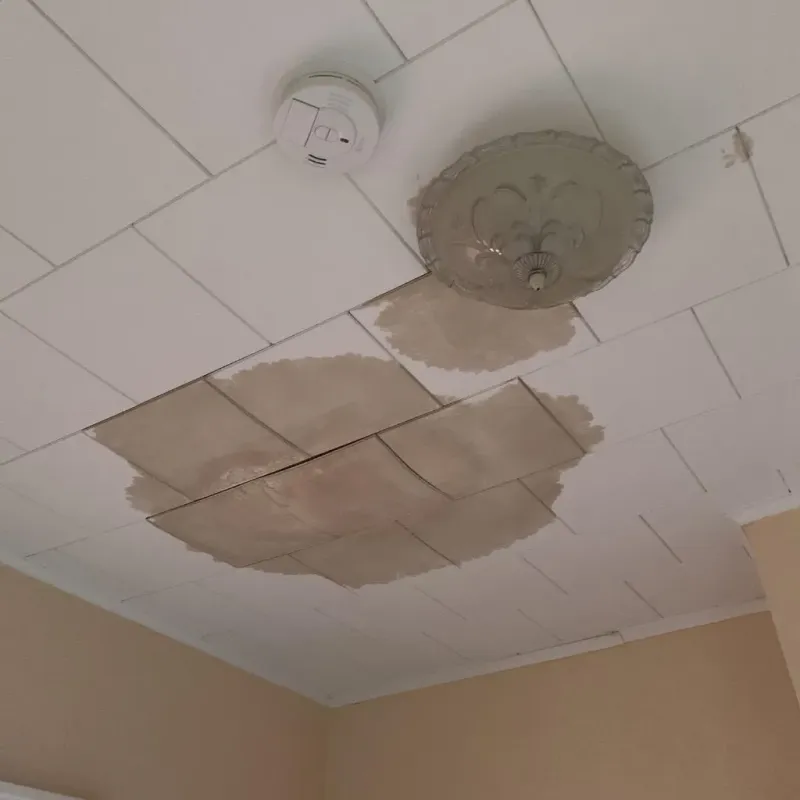 Ceiling Water Damage Repair in Saks, AL