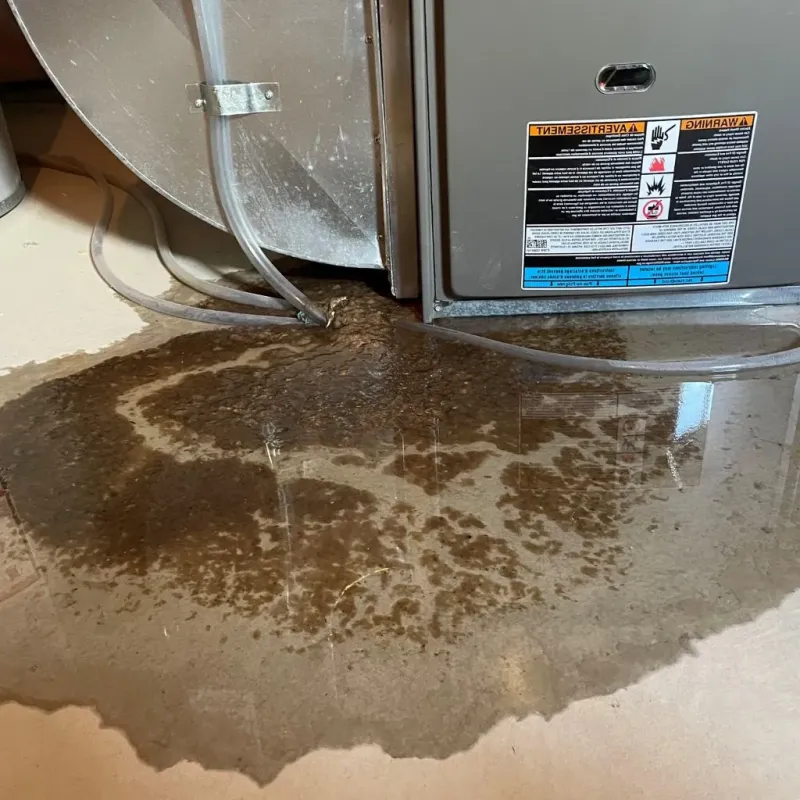 Pipe Burst and Leak Restoration in Saks, AL