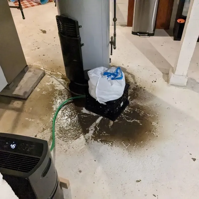 Sewage Backup Cleanup Service in Saks, AL